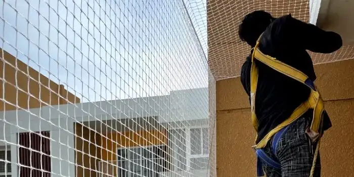 Protections anti-oiseaux (pics, filets)